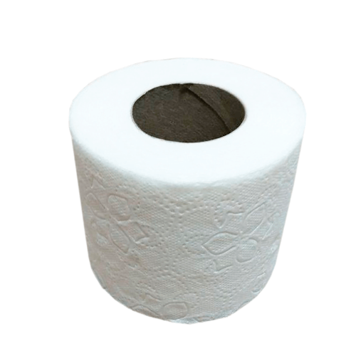 x12 Papier Toilette Biodégradable Double Épaisseur